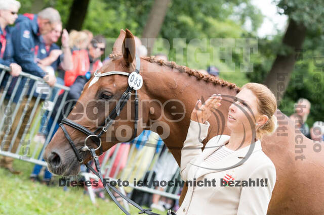 FEI European Championship Eventing 2017