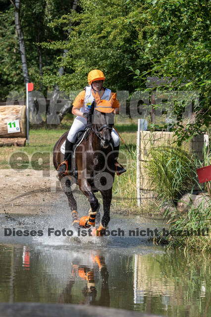 Late-Entry Vielseitigkeit Hamminkeln/Wesel (01.+02.08.2020)