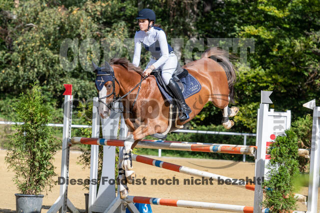 RFV Dinslaken-Hiesfeld (Herbstturnier)