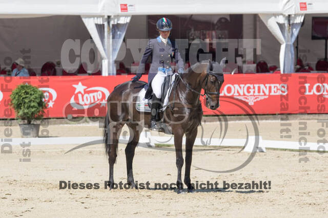 FEI European Championship