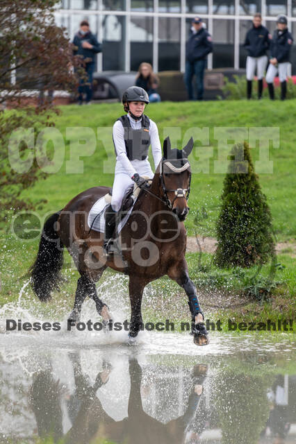 Goldene Schärpe 2020 - Pferde