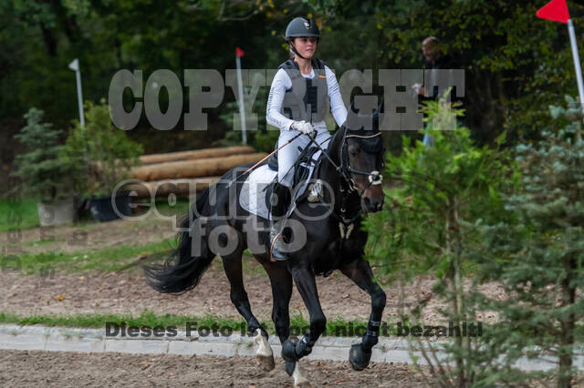 Goldene Schärpe 2020 - Pferde