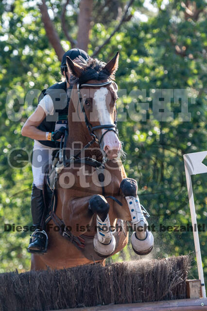 De Peelbergen (August 2020)