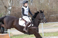 Eventing Langenfeld 2018