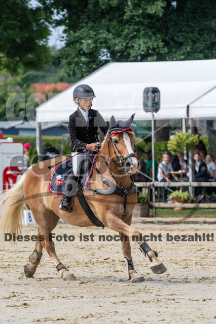 Goldene Schärpe 2021 - Ponys