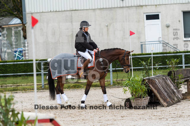 Eventing im Pferdesportzentrum Rheinland (Late Entry 14.03.2022)