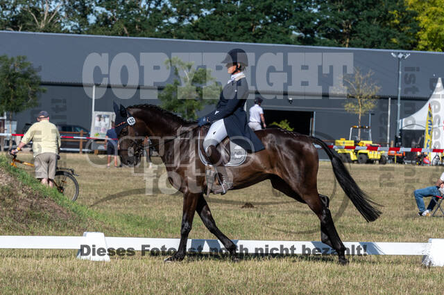 Kronenberg - De Peelbergen (August 2020)