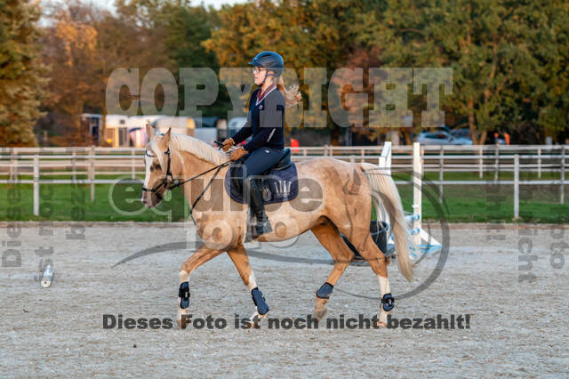IGV Lehrgang der Sieger der Cups mit Frank Ostholt