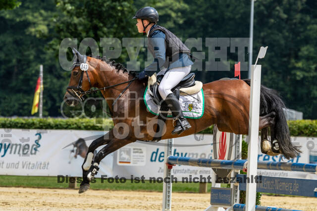 Goldene Schärpe 2021 - Ponys