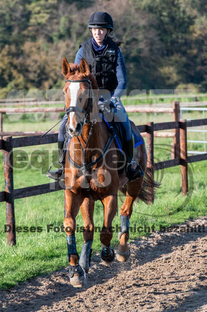 Vielseitigkeitslehrgang mit Jürg Kurbel (9.+10.11.2019)