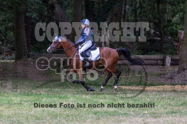 Late-Entry Vielseitigkeit Hamminkeln/Wesel (01.+02.08.2020)
