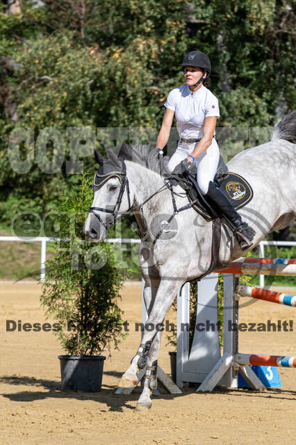 RFV Dinslaken-Hiesfeld (Herbstturnier)