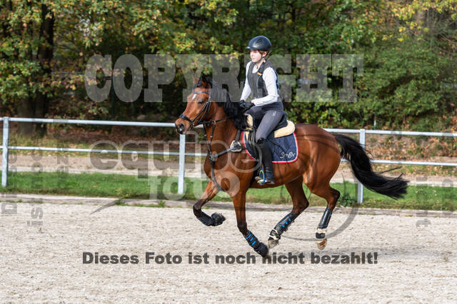 IGV Lehrgang der Sieger der Cups mit Frank Ostholt