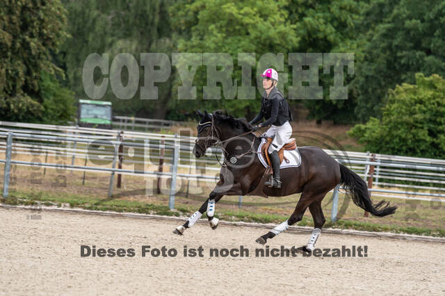 Late-Entry-Vielseitigkeit Langenfeld (11.+13./14.06.2020)
