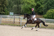 Late-Entry-Vielseitigkeit Langenfeld (11.+13./14.06.2020)