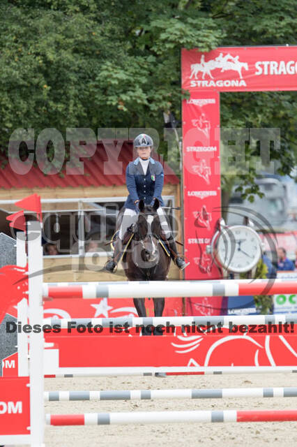 FEI European Championship