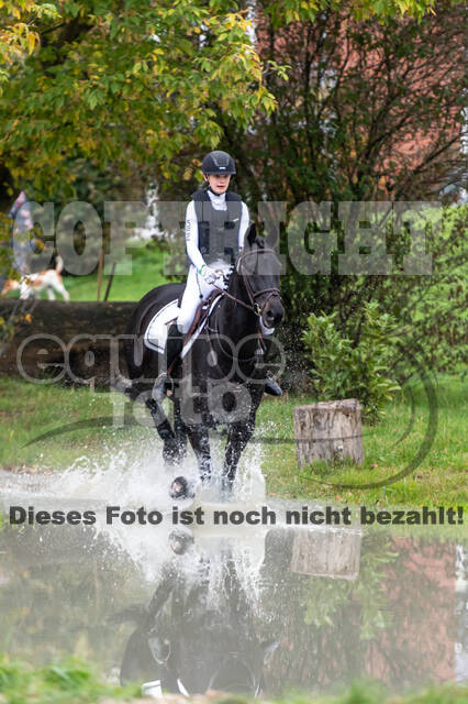 Goldene Schärpe 2020 - Pferde