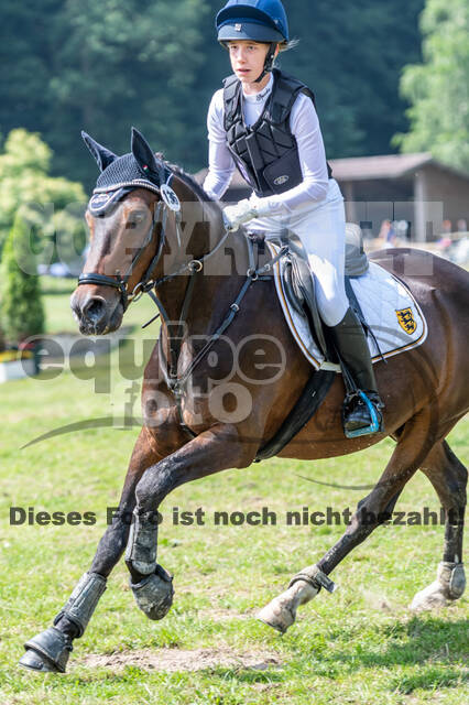 Goldene Schärpe 2021 - Ponys