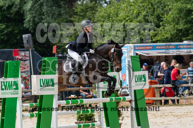 Goldene Schärpe 2021 - Ponys