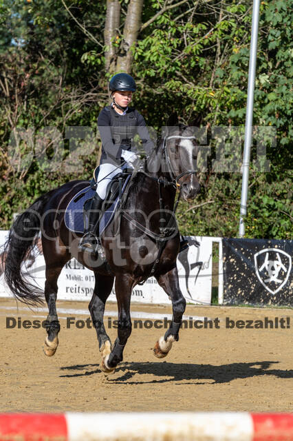 RFV Dinslaken-Hiesfeld (Herbstturnier)