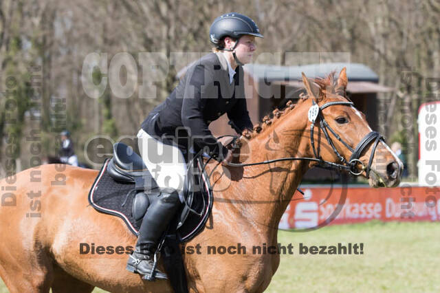 Frühjahrsvielseitigkeit RV Seydlitz Kamp