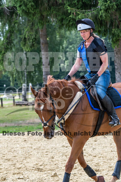 Hunter Geländetraining 10.07.2021 (Sonsbeck)