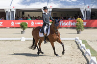 FEI European Championship Eventing 2017