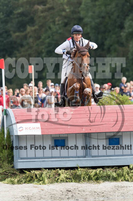 FEI European Championship Eventing 2017