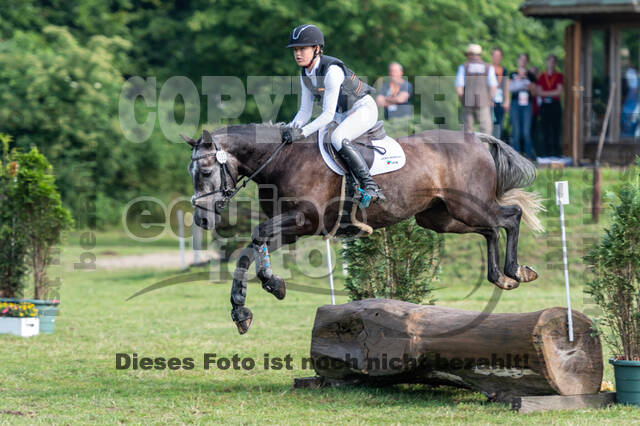 Goldene Schärpe 2021 - Ponys