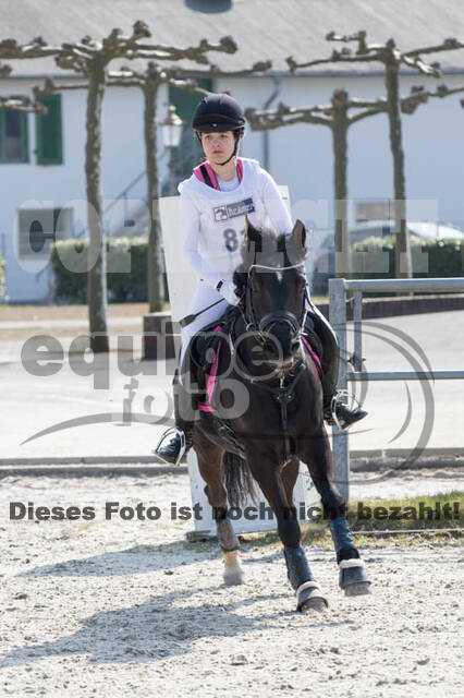 Eventing Langenfeld 2018