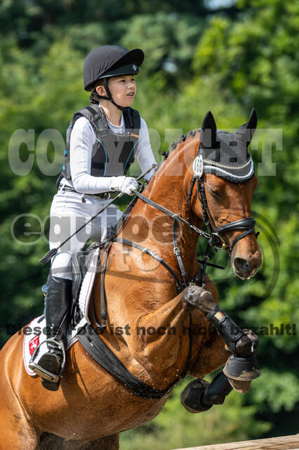 Goldene Schärpe 2021 - Ponys