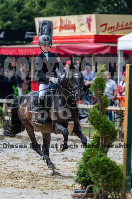 Goldene Schärpe 2021 - Ponys