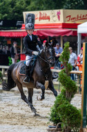 Goldene Schärpe 2021 - Ponys
