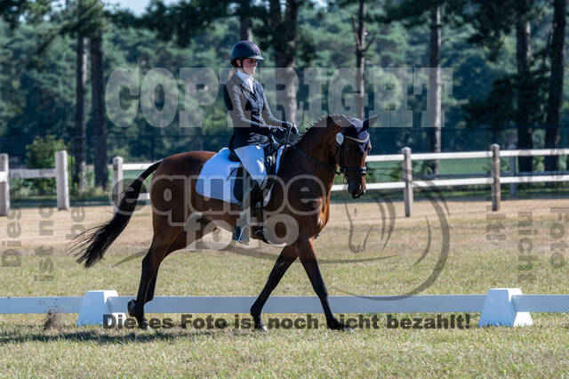 Kronenberg - De Peelbergen (August 2020)