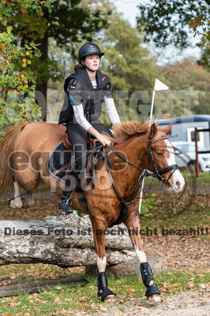 IGV Lehrgang der Sieger der Cups mit Frank Ostholt