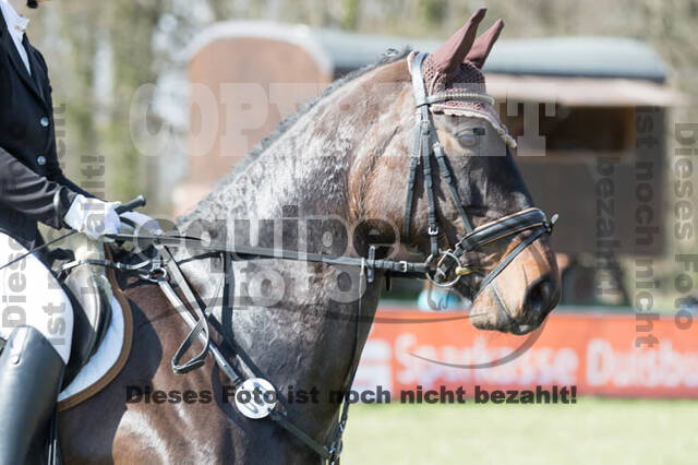 Frühjahrsvielseitigkeit RV Seydlitz Kamp