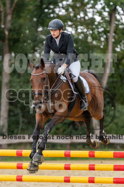 Vielseitigkeit RSV Wesel Obrighoven (26.+27.09.2020)