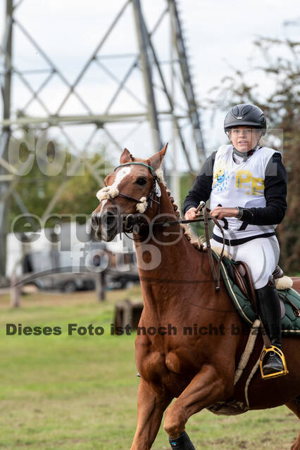 Vielseitigkeit RSV Wesel Obrighoven (26.+27.09.2020)