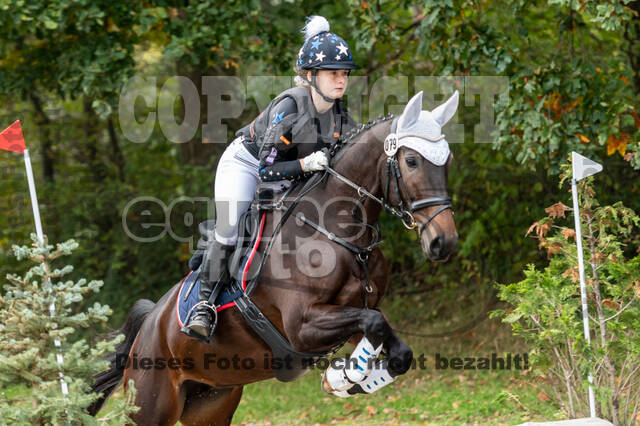 Goldene Schärpe 2020 - Pferde