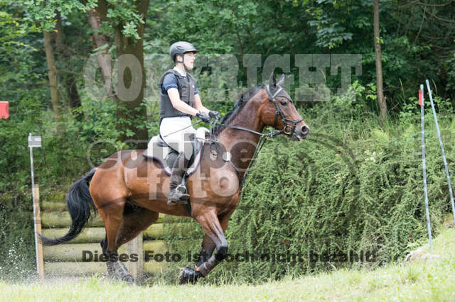 RFV Bad Honnef