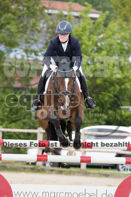 Sterne über Münster 2019 - CCI***S