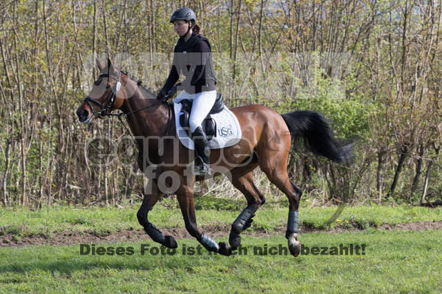 Vielseitigkeitsturnier RV Lippe-Bruch-Gahlen