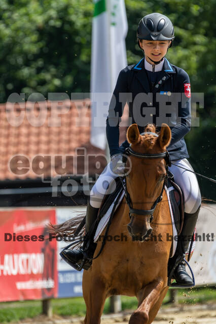 Goldene Schärpe 2021 - Ponys