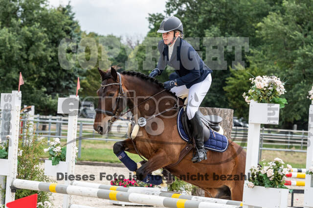 Late-Entry-Vielseitigkeit Langenfeld (06.+07.07.2020)