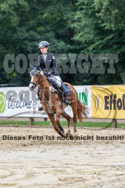 Goldene Schärpe 2021 - Ponys