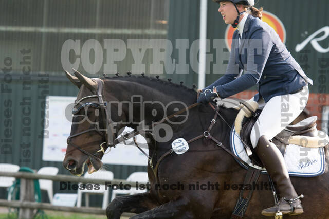 Vielseitigkeitsturnier ZRuFV von Lützow Hamminkeln
