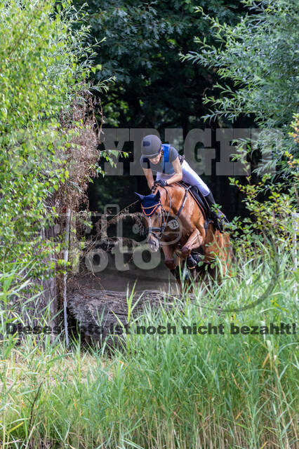 Late-Entry Vielseitigkeit Hamminkeln/Wesel (01.+02.08.2020)