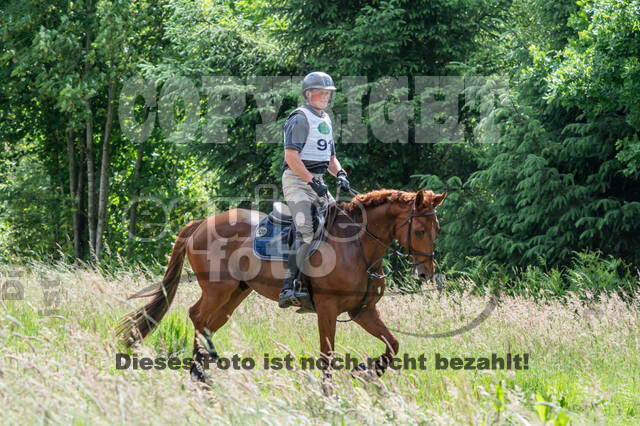 Westerstede Horse Trials 2021