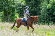 Westerstede Horse Trials 2021