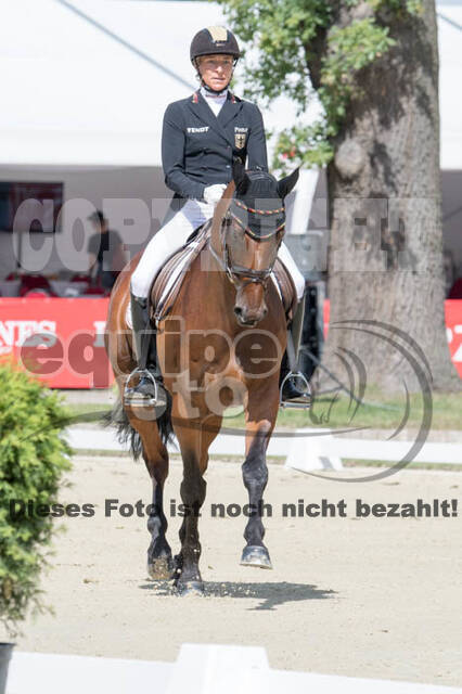 FEI European Championship Eventing 2017